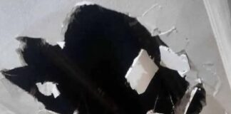 L’ÉPOUSE D’ABDOUL SACKO SUR L’ENLÈVEMENT DE SON MARI