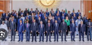 INERTIE DES INSTITUTIONS AFRICAINES: CELLOU DALEIN TRÈS AMER?