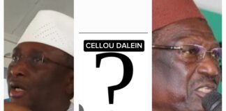 FODÉ B. SIDYA T. PLÉBISCITÉS: QUE SE PASSERA-T-IL AVEC L’UFDG DE DALEIN?