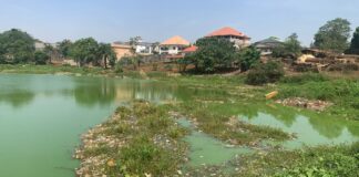 LE LAC DE SONFONIA : UN TRÉSOR ÉCOLOGIQUE EN PÉRIL