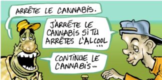 TRAFIC DE DROGUE: DE PLUS EN PLUS DE CONSOMMATEURS EN AFRIQUE DE L’OUEST