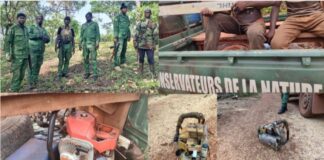 KOUBIA: VOICI LES RAISONS DE LA SAISIE DES TRONÇONNEUSES…