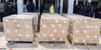GUINÉE/RÉFÉRENDUM : LE MATÉRIEL POUR LES CARTES D’ÉLECTEURS EST ARRIVÉ