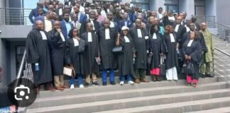 VOICI LES VRAIES RAISONS DE LA RECONDUCTION DU BOYCOTT DES AVOCATS