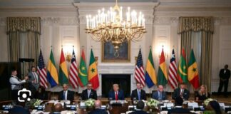 LA CLARIFICATION DE LA SUPPRESSION DE L’USAID AUX CHEFS D’ÉTAT AFRICAINS