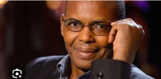 LES FLEURS FANÉES DU PANAFRICANISME