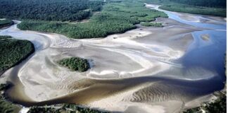 GUINÉE-BISSAU: L’ARCHIPEL DES BIJAGÓS ENTRE AU PATRIMOINE MONDIAL DE L’HUMANITÉ