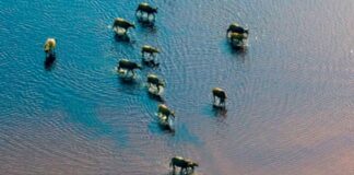 LE DERNIER EDEN DE L’AFRIQUE, OÙ S’ÉTEND L’UN DES PARCS LES PLUS SPECTACULAIRES