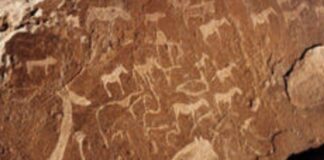 À LA DÉCOUVERTE DU SITE TWYFELFONTEIN DE LA NAMIBIE