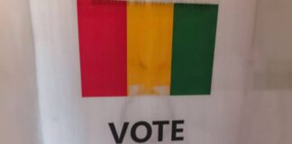 RÉFÉRENDUM CONSTITUTIONNEL : SUITE DE LA PROCLAMATION DES PREMIERS RÉSULTATS PARTIELS