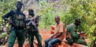 CRIMINALITÉ ENVIRONNEMENTALE À KOUNDARA : LA RÉPRESSION CRÉE UN CLIMAT DISSUASIF