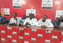 SIMANDOU 2040 : LA DIASPORA SUR LES DÉFIS ET PERSPECTIVES