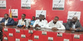 SIMANDOU 2040 : LA DIASPORA SUR LES DÉFIS ET PERSPECTIVES