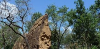 À LA DÉCOUVERTE DES RUINES DE LOROPÉNI EN BURKINA FASO