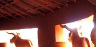 À LA DÉCOUVERTE DES PALAIS ROYAUX D’ABOMEY/BÉNIN