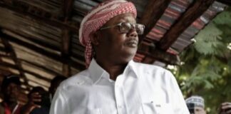 EMBALÓ EST-IL DEVENU PERSONA NON GRATA AU SUD DU SAHARA?