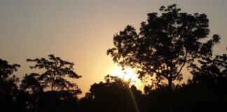 À LA DÉCOUVERTE DE LA RÉVERSE DE FAUNE DU DJA AU CAMEROUN