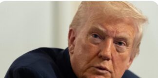 UN “PAYS POURRI” : LA LITANIE D’INJURES DE DONALD TRUMP CONTRE LA SOMALIE