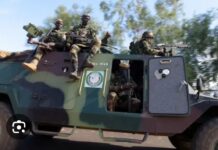 LA CEDEAO PRÉPARE-T-ELLE UNE INTERVENTION EN GUINÉE-BISSAU ?