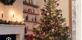 SIGNIFICATION CHRÉTIENNE DU SAPIN DE NOËL