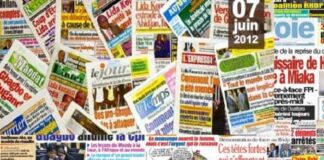 JEUNE À FRIC : IL FAUT SAUVER LES PLUMES INDIGNES (PAR OUMAR CAMARA)