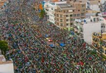 LES CHAMPIONS D’AFRIQUE ACCUEILLIS PAR UNE NATION EN LIESSE