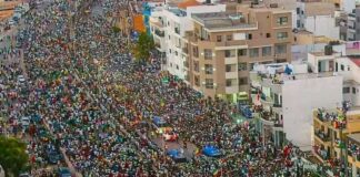 LES CHAMPIONS D’AFRIQUE ACCUEILLIS PAR UNE NATION EN LIESSE