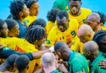 CAN HANDBALL 2026 : LA GUINÉE TOMBE MAIS VISE LA 5E PLACE MONDIALE