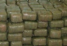 UN MOIS DE FILATURE, 16,8 KG DE DROGUE SAISIS, UN RÉSEAU DÉMANTELÉ