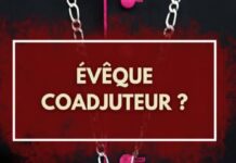 ÉVÊQUE COADJUTEUR, UN ABBÉ EXPLIQUE ?