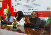 LA DIASPORA GUINÉENNE SUR LA CONTRIBUTION DE LA VICTOIRE DU CANDIDAT DOUMBOUYA