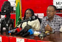 FEST-ARTS D’MBA 2026 : UNE ÉDITION INTERNATIONALE AVEC LE SÉNÉGAL INVITÉ D’HONNEUR