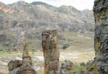 CETTE SEMAINE/DÉCOUVREZ LE PARC NATIONAL DE L’ISALO DE MADAGASCAR