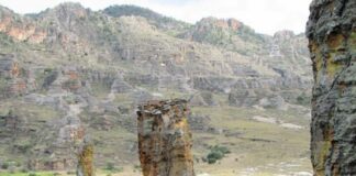 CETTE SEMAINE/DÉCOUVREZ LE PARC NATIONAL DE L’ISALO DE MADAGASCAR