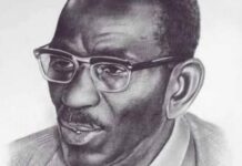 ÉPHÉMÉRIDE : IL Y A 40 ANS, C. ANTA DIOP DISPARAISSAIT, LAISSANT UN LEGS ÉTERNEL À L’AFRIQUE