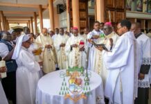 CE QUE VOUS NE SAVEZ PAS DE L’ÉGLISE PRIMITIVE EN AFRIQUE