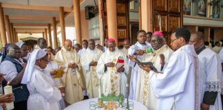 CE QUE VOUS NE SAVEZ PAS DE L’ÉGLISE PRIMITIVE EN AFRIQUE