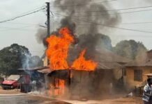 VOICI UNE REVUE DE PRESSE, COUVRANT , SEMAINE DU LUNDI 16 AU DIMANCHE 22 FÉVRIER 2026