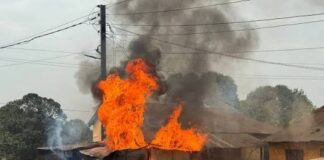 VOICI UNE REVUE DE PRESSE, COUVRANT , SEMAINE DU LUNDI 16 AU DIMANCHE 22 FÉVRIER 2026