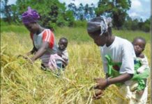 8 MARS : BILLETDUJOUR.COM SALUE LE DYNAMISME DE LA GUINÉENNE