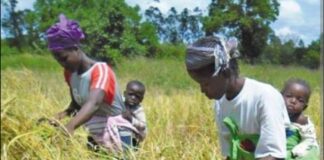 8 MARS : BILLETDUJOUR.COM SALUE LE DYNAMISME DE LA GUINÉENNE