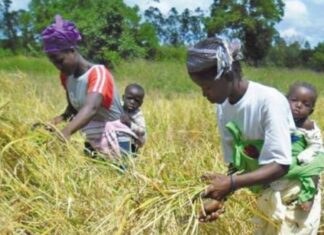 8 MARS : BILLETDUJOUR.COM SALUE LE DYNAMISME DE LA GUINÉENNE