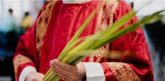 FÊTE DES RAMEAUX : CE QUE VOUS SAVEZ PAS DE CETTE SOLENNITÉ?