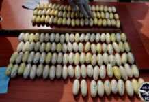 RAID POLICIER À CONAKRY : 346 BOULES DE COCAÏNE SAISIES