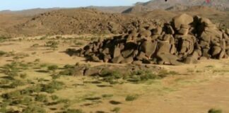 NIGER/CETTE SEMAINE, DÉPART POUR LES MONTAGNES DE L’AIR