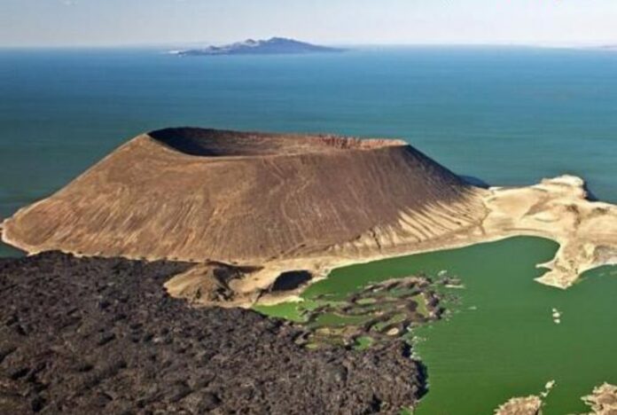 Screenshot_20260330_125128_WhatsApp