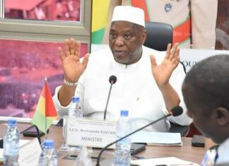 DIPLOMATIE GUINÉENNE : UN RAPPEL MASSIF DE 48 CADRES SECOUE LES CHANCELLERIES