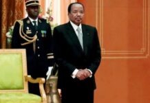 CAMEROUN, L’INSTAURATION DU POSTE DE VICE-PRÉSIDENT FAIT DÉBATS