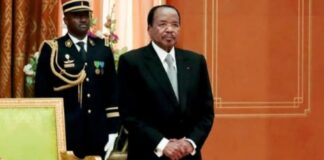 CAMEROUN, L’INSTAURATION DU POSTE DE VICE-PRÉSIDENT FAIT DÉBATS