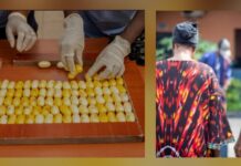 TRAFIC DE COCAÏNE : UN COUPLE DE PASSEURS PIÉGÉ À L’AÉROPORT